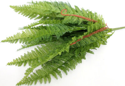 Б11481 Б/С Папоротник щитовник 11л.Н60см