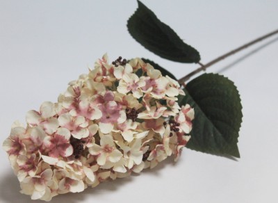 В12174 Б/С Гортензия древовидная"Вимс Рэд"88см(3шт)