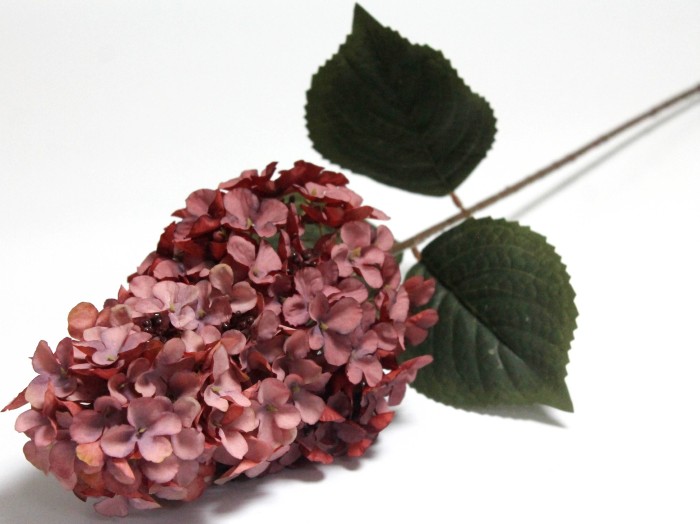 В12174 Б/С Гортензия древовидная"Вимс Рэд"88см(3шт)