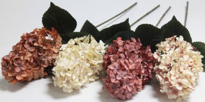 В12174 Б/С Гортензия древовидная"Вимс Рэд"88см(3шт)