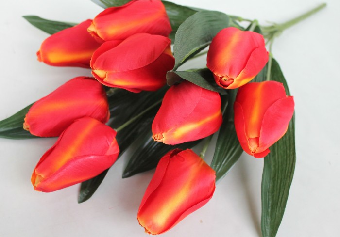 Б10535 Букет круп.тюльпана"Герцогиня"9г.Н53см(20микс)