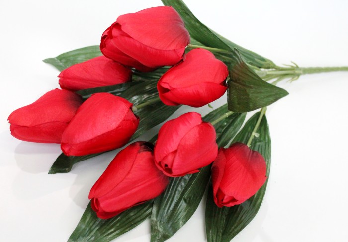 Б10535 Букет круп.тюльпана"Герцогиня"9г.Н53см(20микс)