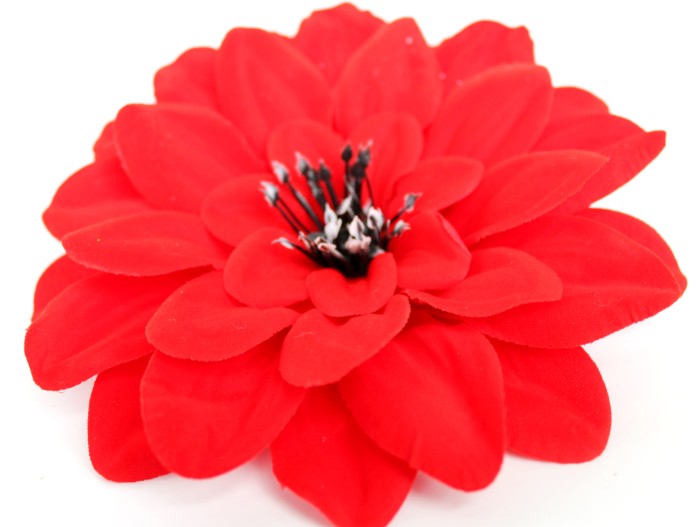 Г10471 Георгин большой 17см барх.большой"Спартак"(25/500)