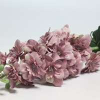 евро-розовый