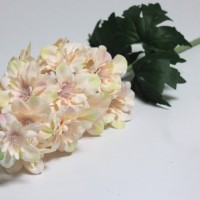 Персиковый