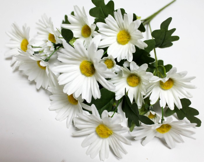 Б12250 Букет ромашка 6 вет."Наташка"36см(20шт)
