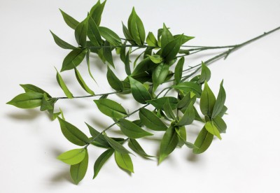 В12100 Б/С Ветка олива Греческая королевская 10вет.Н100см(10шт)