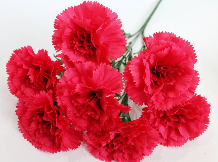 Б11902 Букет гвоздик"Шабо"7г.Н46см(20шт)