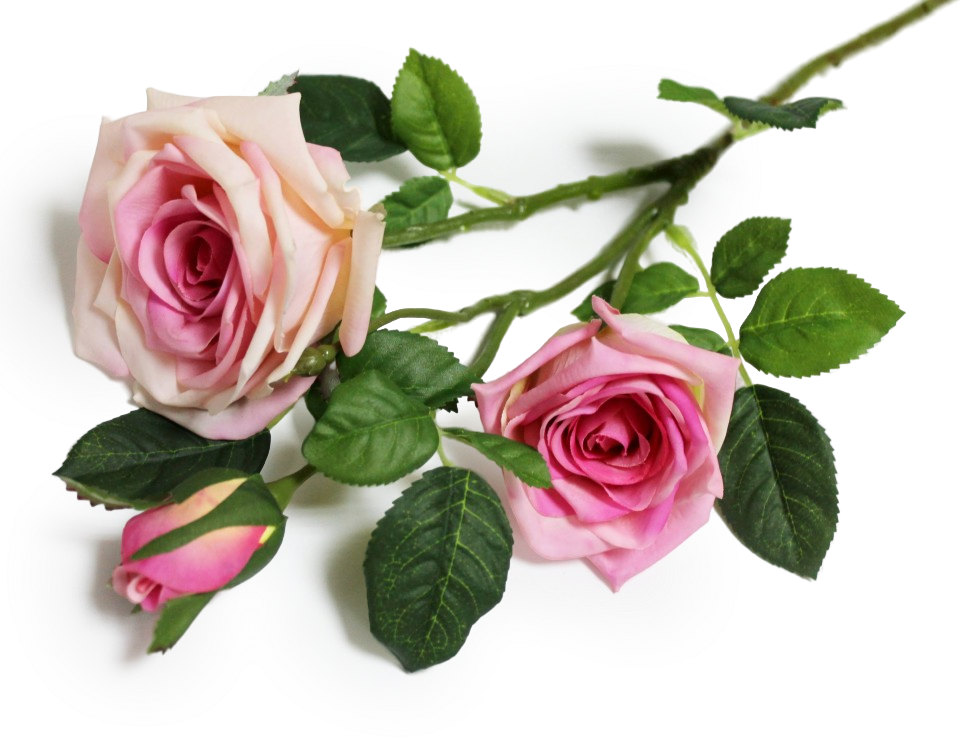Каталог искусственных растений Floritus